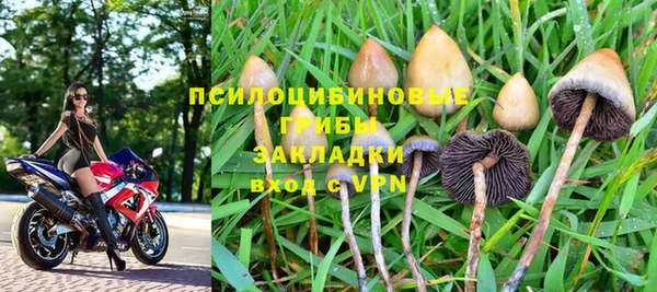 винт Касимов