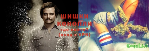 крисы Карпинск