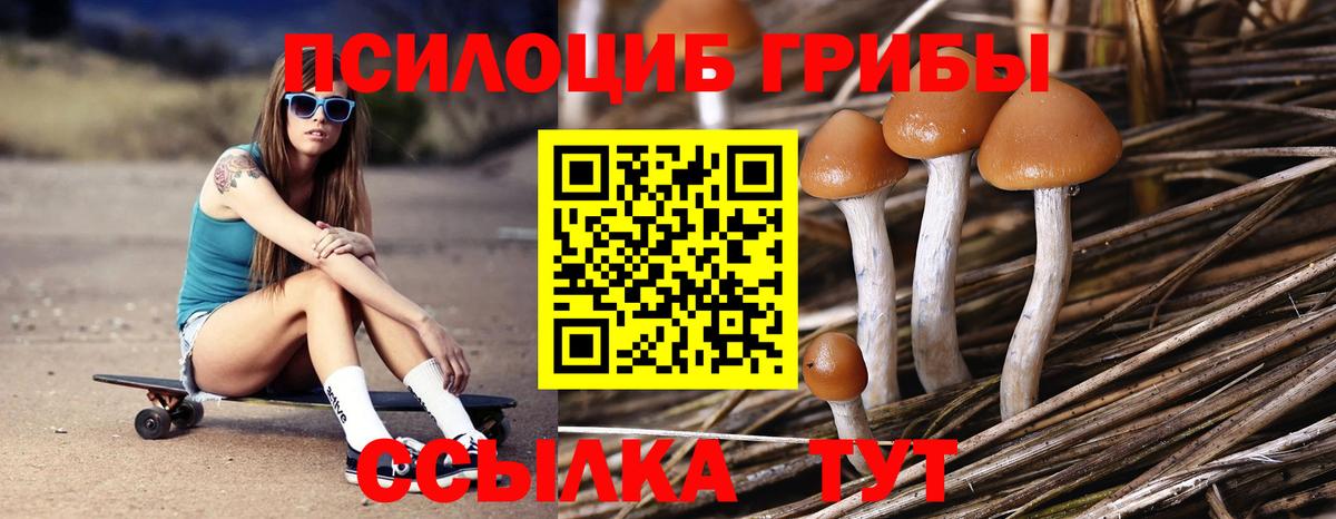 Галлюциногенные грибы мухоморы  Галлюциногенные грибы мухоморы  Вход с VPN  Кимры 