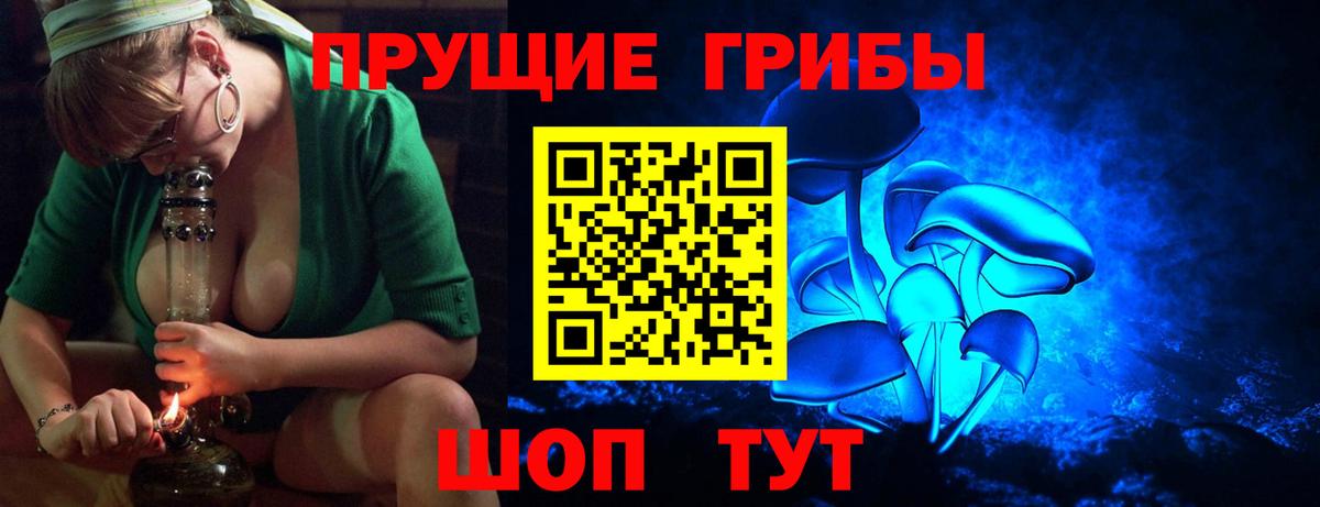 Псилоцибиновые грибы Psilocybe Кимры